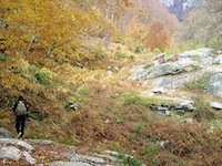 Πεζοπορία στο Όρος Παγγαίο